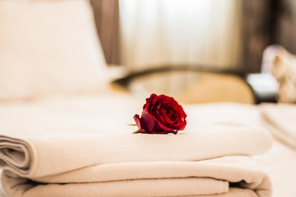 Apartament Feyza *